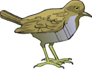 Sticker Custom Preview Image #016204 Animals Birds Bird162