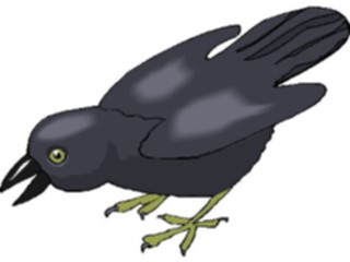 Sticker Custom Preview Image #016205 Animals Birds Bird163