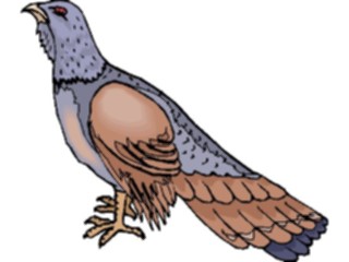 Sticker Custom Preview Image #016209 Animals Birds Bird167