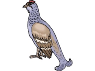 Sticker Custom Preview Image #016210 Animals Birds Bird168