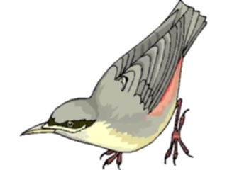 Sticker Custom Preview Image #016216 Animals Birds Bird174