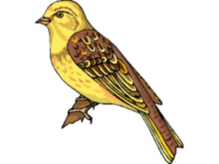 Sticker Custom Preview Image #016217 Animals Birds Bird175