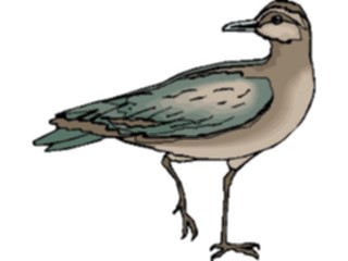 Sticker Custom Preview Image #016225 Animals Birds Bird183