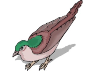 Sticker Custom Preview Image #016226 Animals Birds Bird184