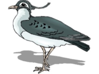 Sticker Custom Preview Image #016236 Animals Birds Bird194