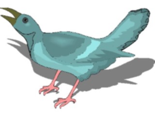 Sticker Custom Preview Image #016237 Animals Birds Bird195