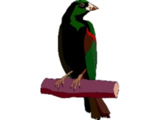Sticker Custom Preview Image #016243 Animals Birds Bird201