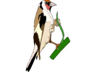 Sticker Custom Preview Image #016244 Animals Birds Bird202