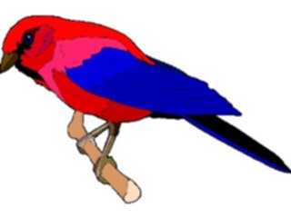 Sticker Custom Preview Image #016246 Animals Birds Bird204
