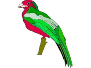 Sticker Custom Preview Image #016248 Animals Birds Bird206