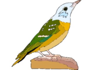 Sticker Custom Preview Image #016252 Animals Birds Bird210