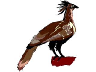 Sticker Custom Preview Image #016253 Animals Birds Bird211
