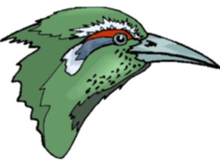 Sticker Custom Preview Image #016256 Animals Birds Bird214