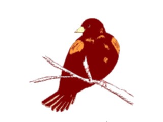 Sticker Custom Preview Image #016267 Animals Birds Bird225