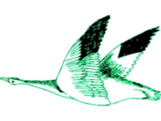 Sticker Custom Preview Image #016268 Animals Birds Bird226