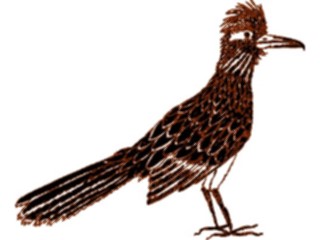 Sticker Custom Preview Image #016269 Animals Birds Bird227