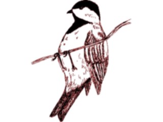 Sticker Custom Preview Image #016272 Animals Birds Bird230