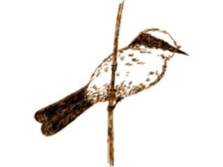 Sticker Custom Preview Image #016273 Animals Birds Bird231