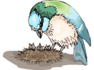 Sticker Custom Preview Image #016289 Animals Birds Bird Feeding Chicks