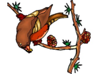 Sticker Custom Preview Image #016292 Animals Birds Bird Forraging