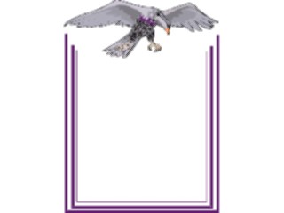 Sticker Custom Preview Image #016295 Animals Birds Bird Frame3