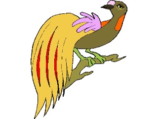 Sticker Custom Preview Image #016303 Animals Birds Birdof Paradise1