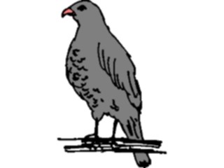 Sticker Custom Preview Image #016317 Animals Birds Bird Perched11