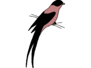 Sticker Custom Preview Image #016324 Animals Birds Bird Perched18