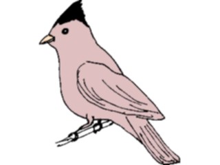 Sticker Custom Preview Image #016325 Animals Birds Bird Perched19
