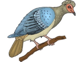 Sticker Custom Preview Image #016332 Animals Birds Bird Perched26