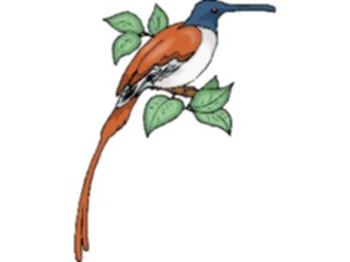 Sticker Custom Preview Image #016334 Animals Birds Bird Perched28