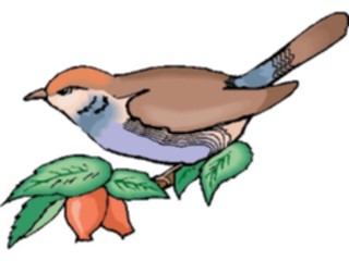 Sticker Custom Preview Image #016336 Animals Birds Bird Perched30