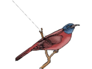 Sticker Custom Preview Image #016341 Animals Birds Bird Perched35