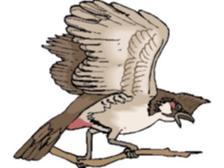 Sticker Custom Preview Image #016345 Animals Birds Bird Perched39