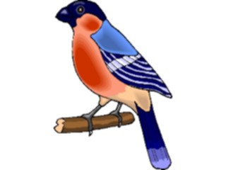 Sticker Custom Preview Image #016347 Animals Birds Bird Perched41