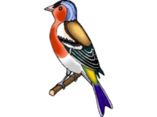 Sticker Custom Preview Image #016349 Animals Birds Bird Perched43