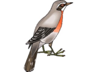 Sticker Custom Preview Image #016350 Animals Birds Bird Perched44