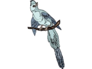 Sticker Custom Preview Image #016352 Animals Birds Bird Perched46