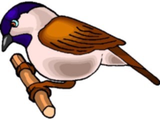 Sticker Custom Preview Image #016363 Animals Birds Bird Perched57