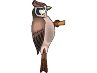 Sticker Custom Preview Image #016364 Animals Birds Bird Perched58