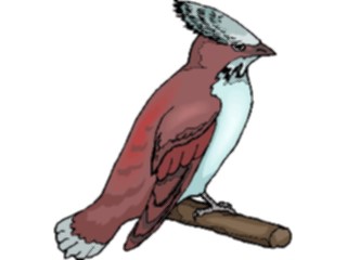 Sticker Custom Preview Image #016369 Animals Birds Bird Perched63