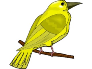 Sticker Custom Preview Image #016375 Animals Birds Bird Perched69