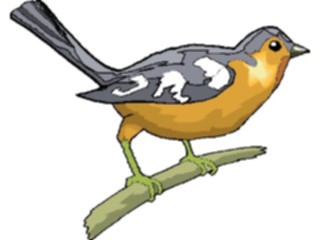 Sticker Custom Preview Image #016382 Animals Birds Bird Perched76