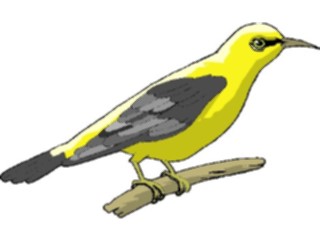 Sticker Custom Preview Image #016383 Animals Birds Bird Perched77
