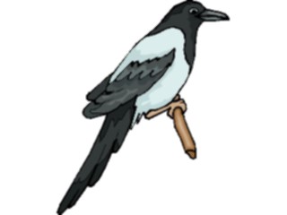 Sticker Custom Preview Image #016389 Animals Birds Bird Perched83