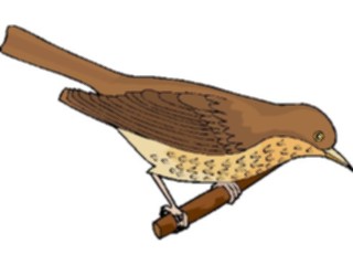 Sticker Custom Preview Image #016398 Animals Birds Bird Perched92