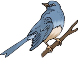 Sticker Custom Preview Image #016402 Animals Birds Bird Perched96