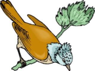 Sticker Custom Preview Image #016404 Animals Birds Bird Perched98