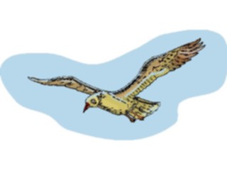 Sticker Custom Preview Image #016412 Animals Birds Bird Soaring