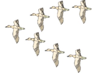 Sticker Custom Preview Image #016421 Animals Birds Birds5